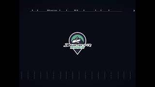 Bajaj Dominar — selected artwork, source slide 80